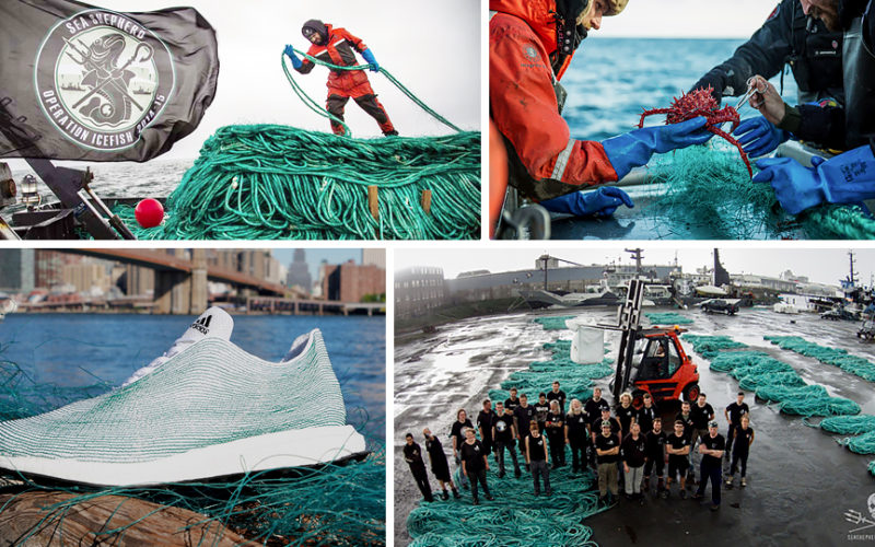 Adidas shoes – revolution of sportswear | Creative Digital Agency