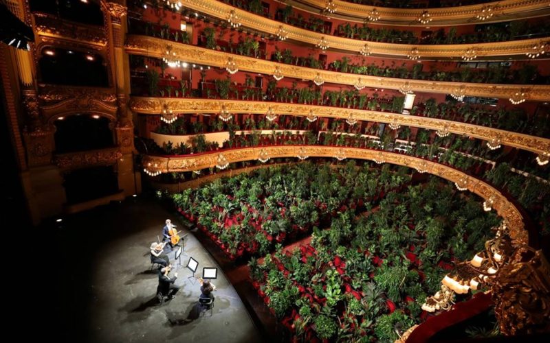 Concert For Plants in Barcelona!